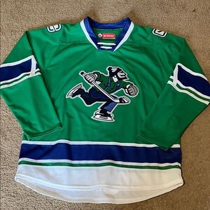 CCM AHL Abbotsford Canucks Green and Blue Men's Hockey Jersey